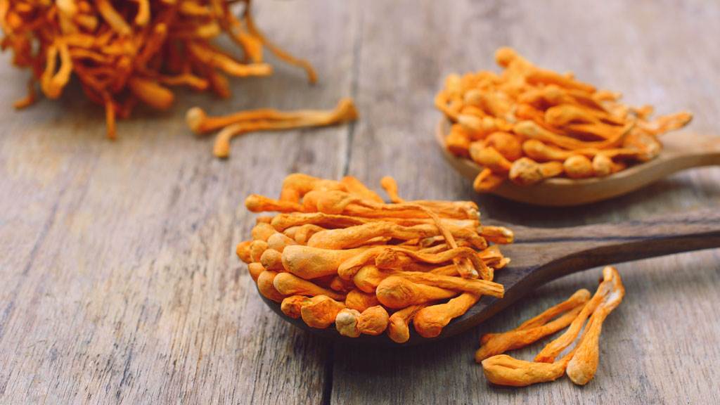 Preparazione dose mattutina integratore cordyceps in cucina domestica